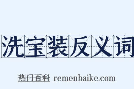 洗宝装反义词是什么意思的图片